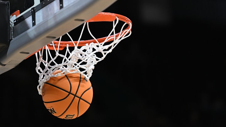 MicroFlow M1 微型低流量泵